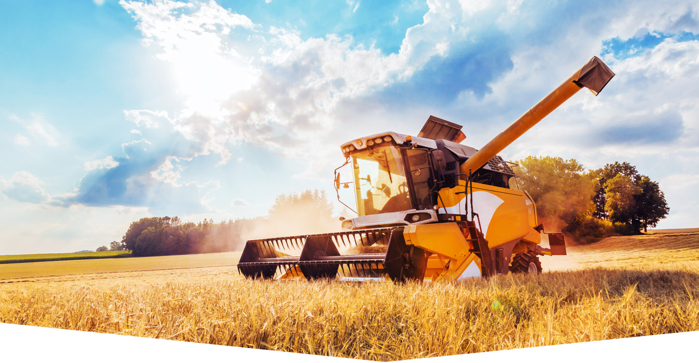 Anton Knoll - natürlich düngen